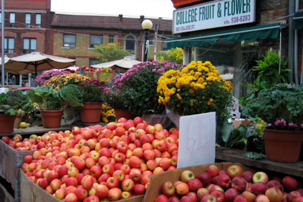 Fruit and flower market located on College Street in Toronto's Little Italy neighbourhood