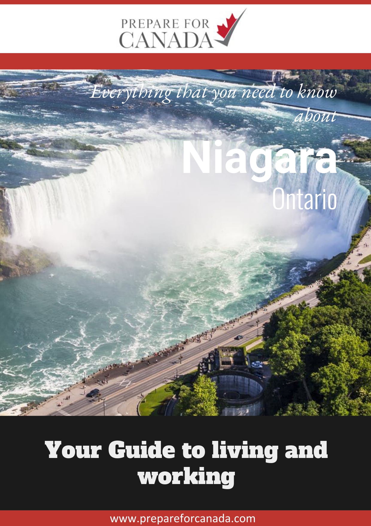 Niagara - Choosing A City Ebooks