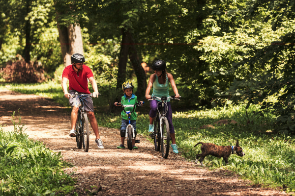 A young couple and child are riding bicycles in a forest. Taking advantage of free outdoor activities is a great no-spend challenge idea.
