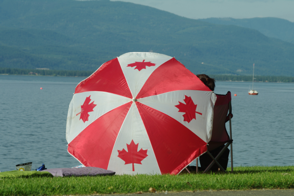 Oversized umbrella provides shade to people sitting on the grass beside a lake.