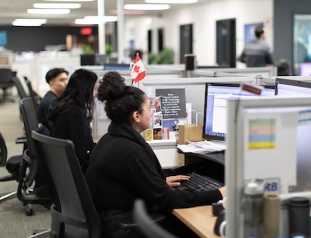 Employees seated at work stations and looking at computer screens. The outlook for jobs in Canada for newcomers remains strong.
