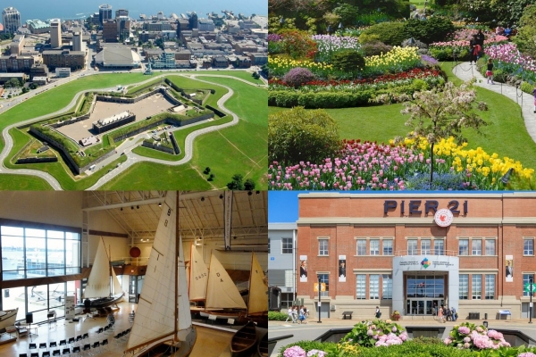 Public Spaces and Attractions in the city